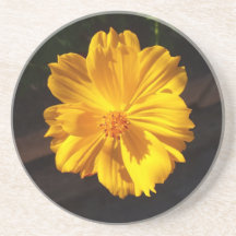 Golden Flower Macro Photography