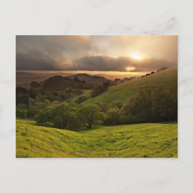 Golden Foggy Sunset, Kalifornien Vykort (Framsida)