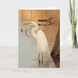 Golden Foleting Card Kort