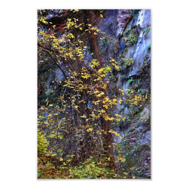 Golden foliage fototryck (Framsidan)