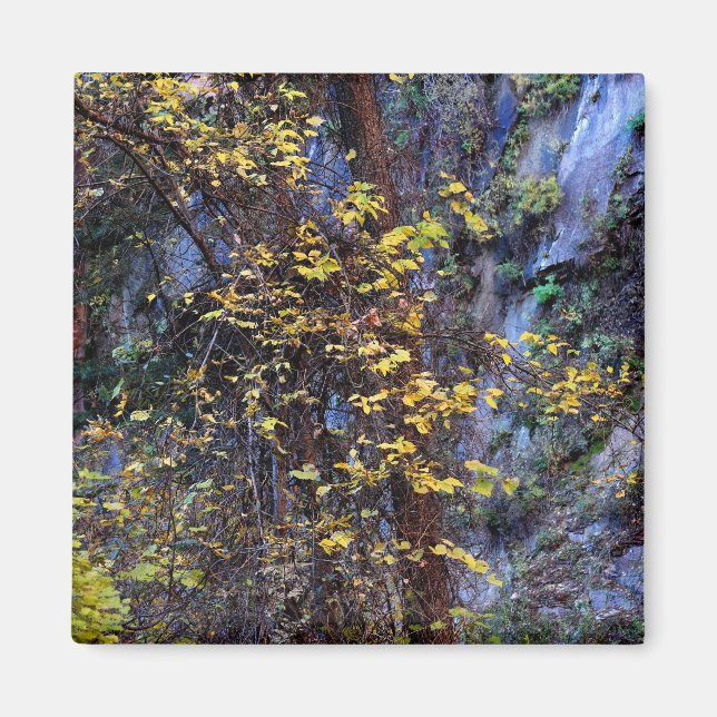 Golden Foliage Magnet (Framsidan)