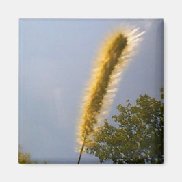 Golden Foliage Magnet