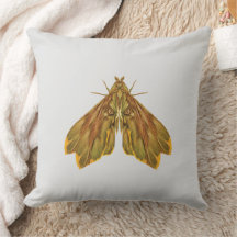 Golden Forest Moth – Surreal Nature Form