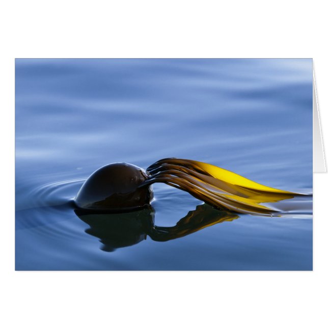 Golden Fronds Hälsningskort (Framsidan Horizontal)