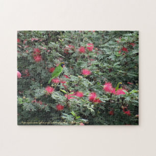Golden fronted Leafbird Rosa Flowers Photo Natatur Pussel