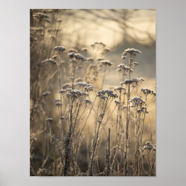Golden Frosty Morgon Flanderish Countryside Poster