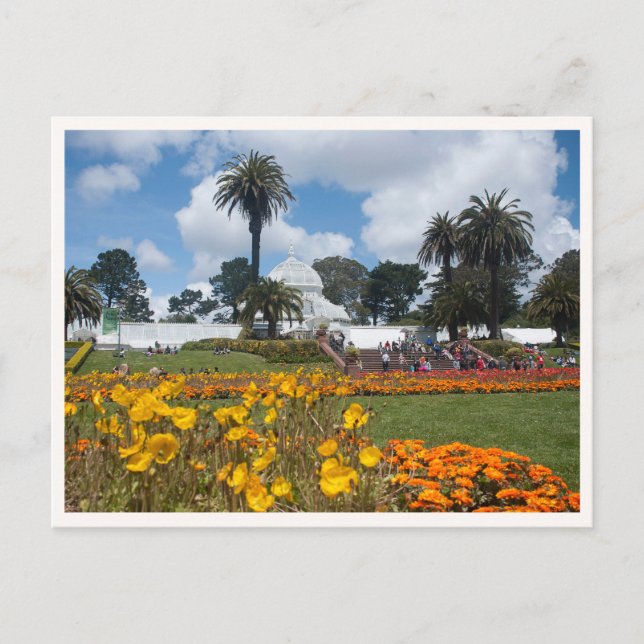 Golden Gate Park San Francisco Blommor Vykort (Framsida)