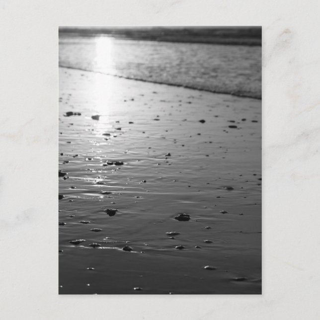 Golden Glassy Sand Grayscale Vykort (Framsida)