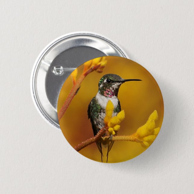 Golden glöd knapp (Framsida & baksida)