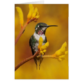 Golden Glow Hälsningskort