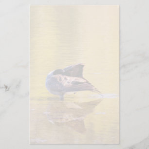 Golden Goose Brevpapper