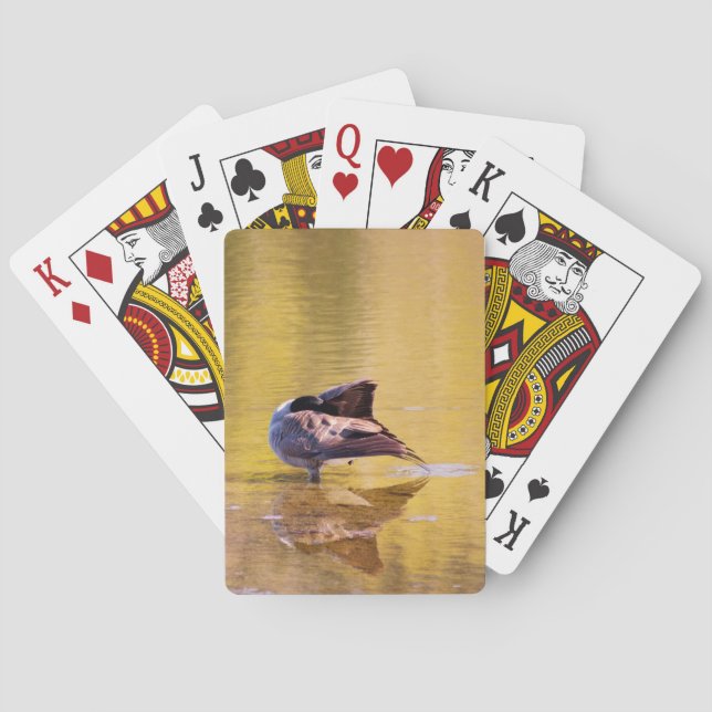 Golden Goose Casinokort (Baksidan)
