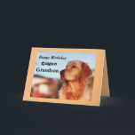 Golden Grandson Birthday Golden Retriever Kort<br><div class="desc">Fira din barnsons födelsedag med ett enastående kort för att förhärliga ägare till guldplockning. Kortet har en vacker gyllene i en klassisk mästarform. Designad i guld och svart färger,  blir kortet en underbarare födelsedagskalas för en guldhämtare fläkt!</div>