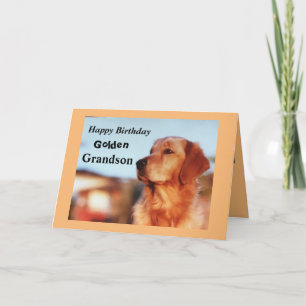 Golden Grandson Birthday Golden Retriever Kort