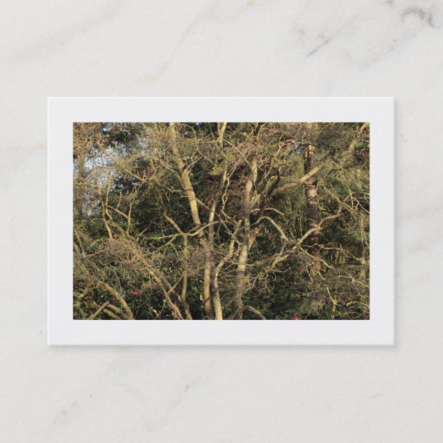 Golden Grenar (gränsad) Visitkort (Framsida)