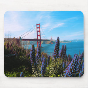 Golden Grind Bridge San Francisco California Photo Musmatta