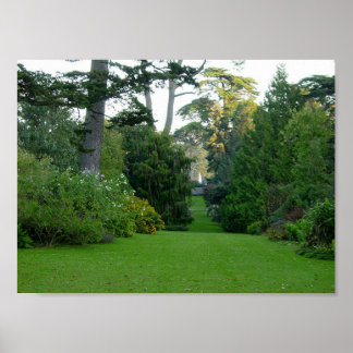 Golden Grind Park Poster