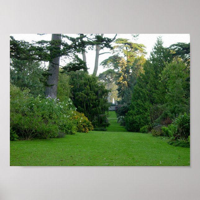 Golden Grind Park Poster (Framsidan)