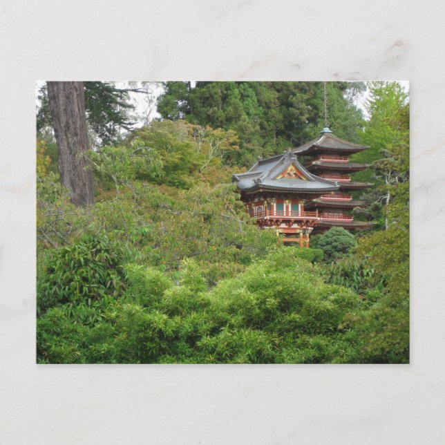Golden Grind Park San Francisco Vykort (Framsida)