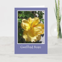 Golden Gul ros får brunstkort, Welsh Hälsning