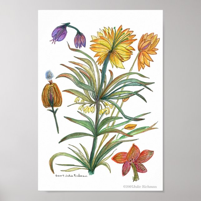 Golden Gula blommor 52 Poster-A Poster (Framsidan)