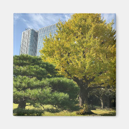 Golden Gult Ginkgo och Gräs Träd Magnet