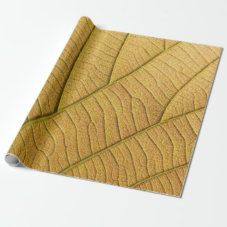 Golden gult löv mönster på morgonen.  presentpapper