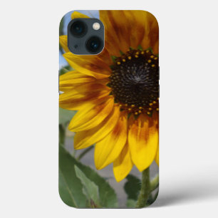 Golden Gult Solros, iPhone 13 Fodral