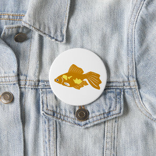 Golden Guppy Fish Cute Tropical Aquarium Fish Knapp