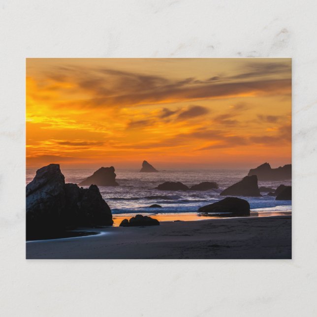 Golden Harris Beach Sunset - Oregon Vykort (Framsida)