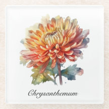 Golden Harvest Chrysanthemum, anpassningsbar