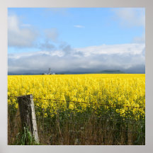 Golden Harvest