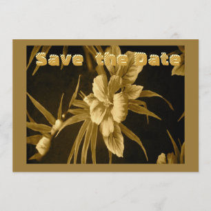 Golden Hawaiian Tropical Spara Datumet