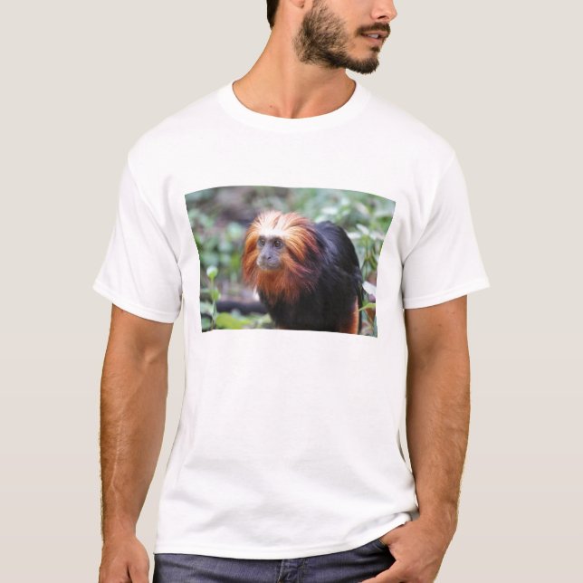 Golden Headed Lejon Tamarin Monkey Tee Shirt (Framsida)