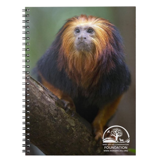 Golden Headed Lejon Tamarins Anteckningsbok (Framsidan)
