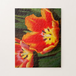 Golden Heart Tulip Puzzle, 11" x 14", 252 pieces Pussel