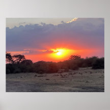 Golden Horizon – Afrikansk Safari Solnedgång Foto