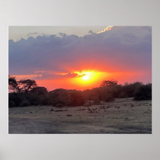Golden Horizon – Afrikansk Safari Solnedgång Foto Poster