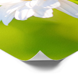 Golden Hour Pause Poster