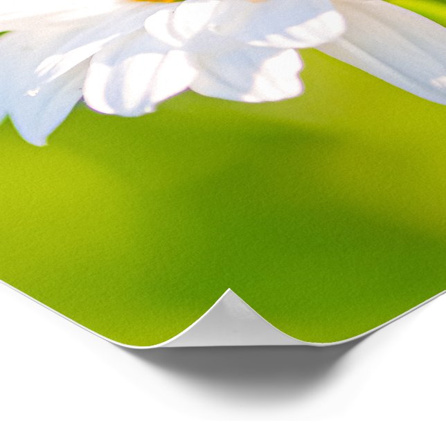 Golden Hour Pause Poster (Hörn)