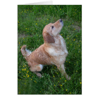 Golden i Grass Hälsningskort