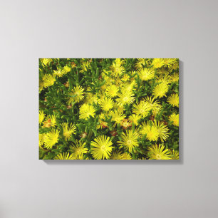 Golden Ice Plant Gula blommor Canvastryck