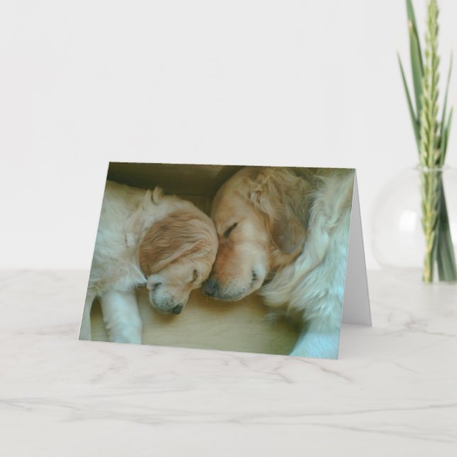 Golden Kärlek Kort (Framsida)