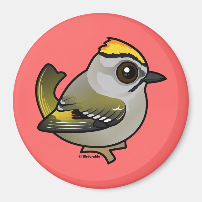 Golden-kronad Kinglet Magnet (Framsidan)