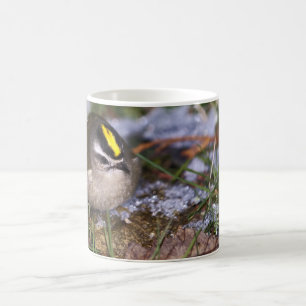 Golden-kronad Kinglet Mugg
