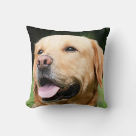 Golden Lab - en Hund södra del Kudde