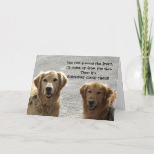 Golden Lab Friends Birthday Kort