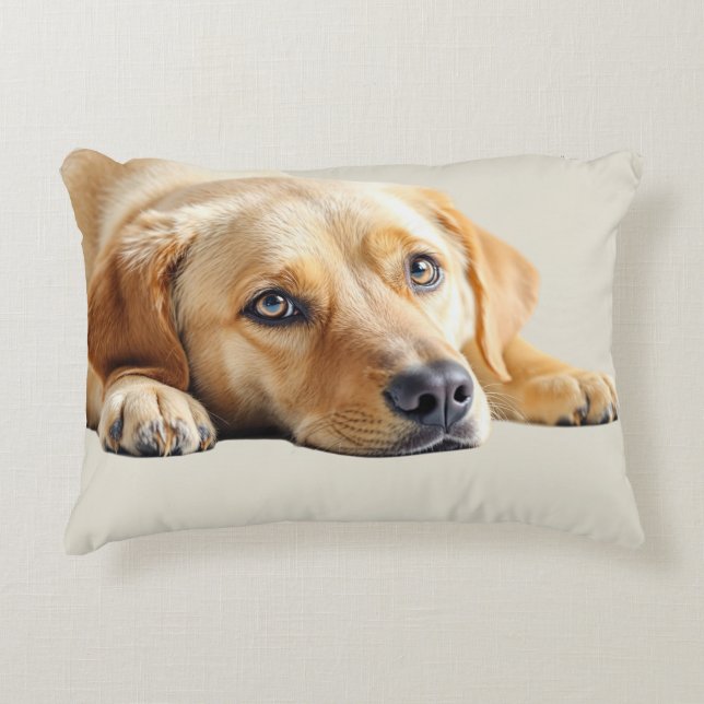Golden Lab Pillow  Prydnadskudde (Framsidan)