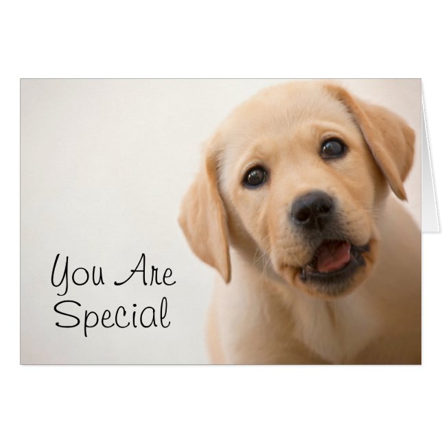 Golden Labour Puppy Hälsningskort (Framsidan Horizontal)