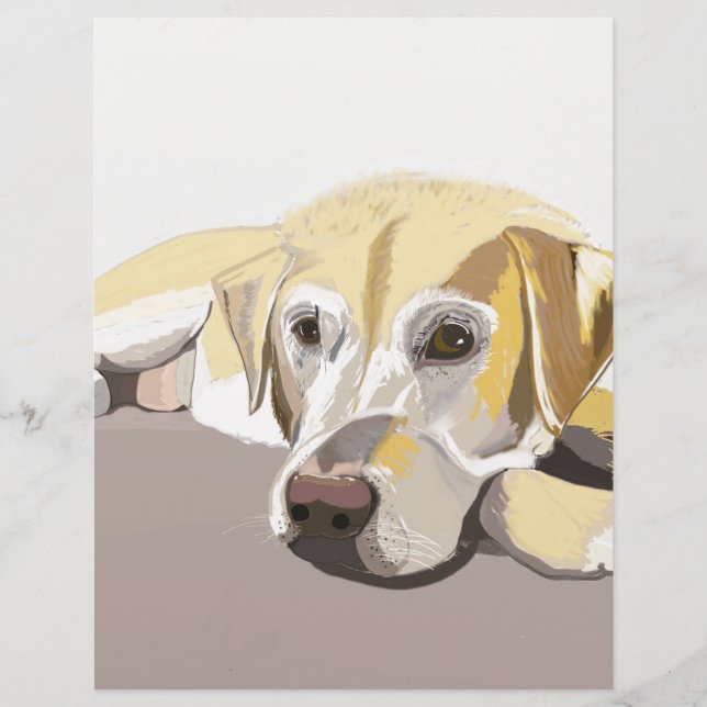 Golden Labrador (Framsida)